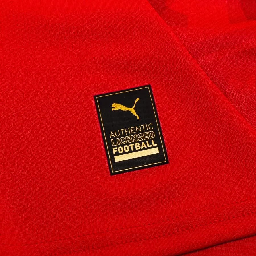 Czech Home Jersey EURO 2024 - Image 9
